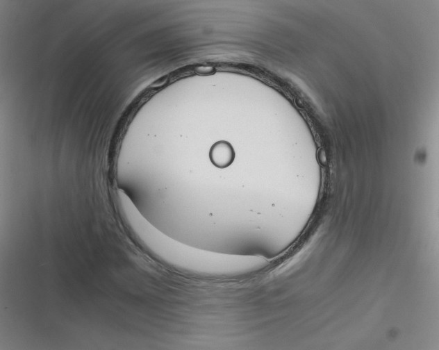 X0000116841065201001081454