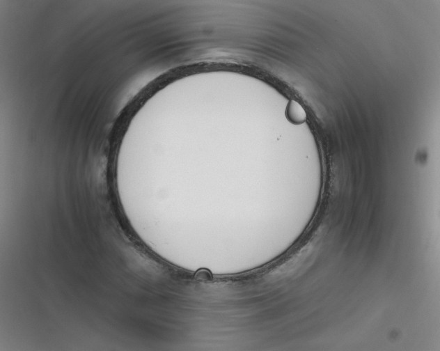 X0000116841066201001081454