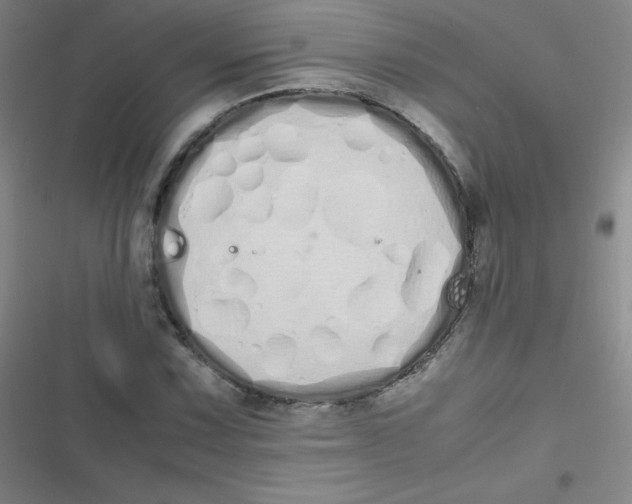 X0000116841067201001081454