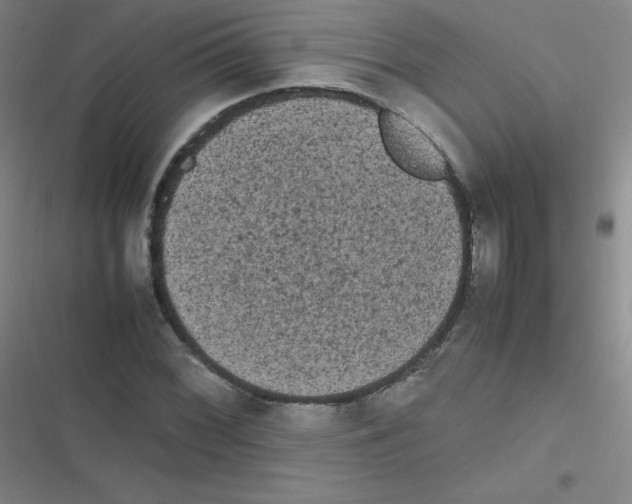 X0000116841068201001081454