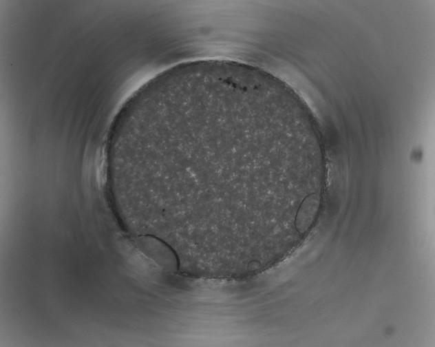 X0000116841069201001081454