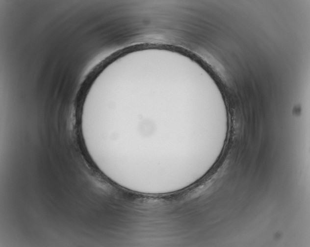 X0000116841070201001081454