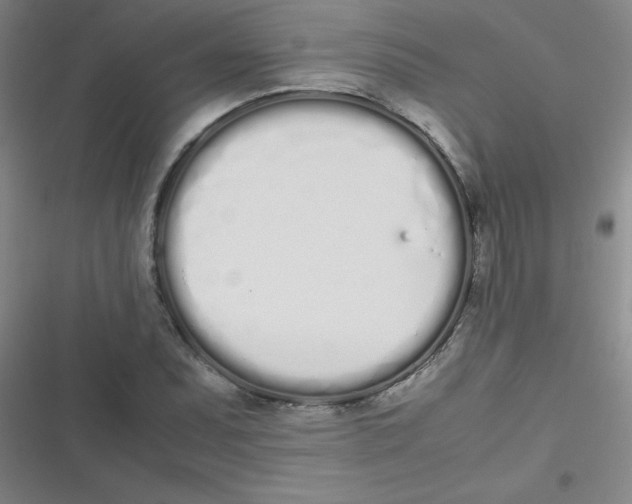 X0000116841071201001081454