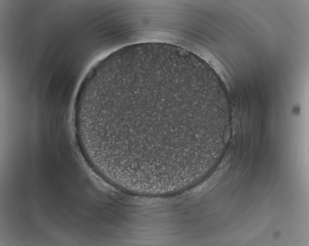 X0000116841072201001081454