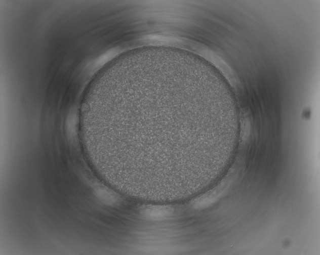 X0000116841074201001081454