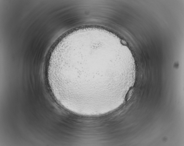 X0000116841076201001081454