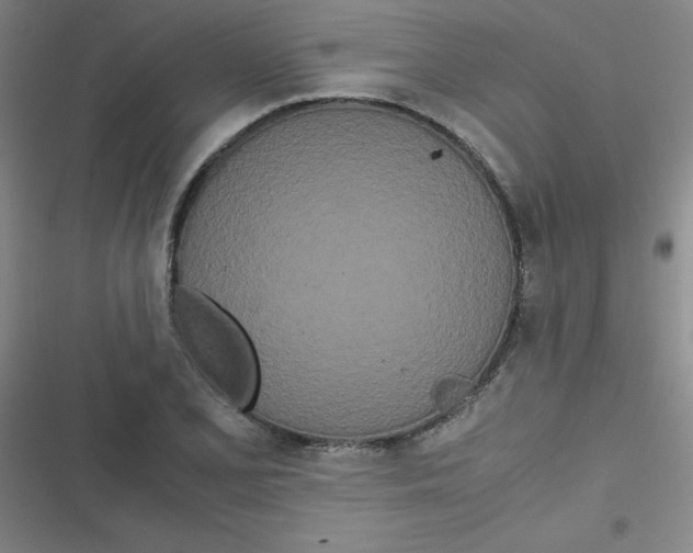 X0000116841077201001081454