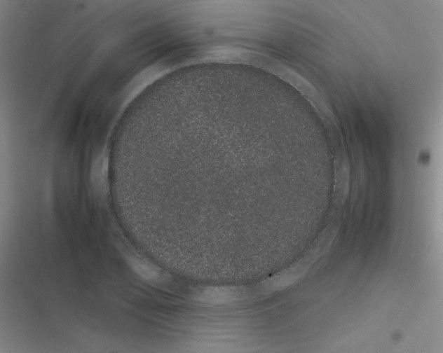 X0000116841078201001081454