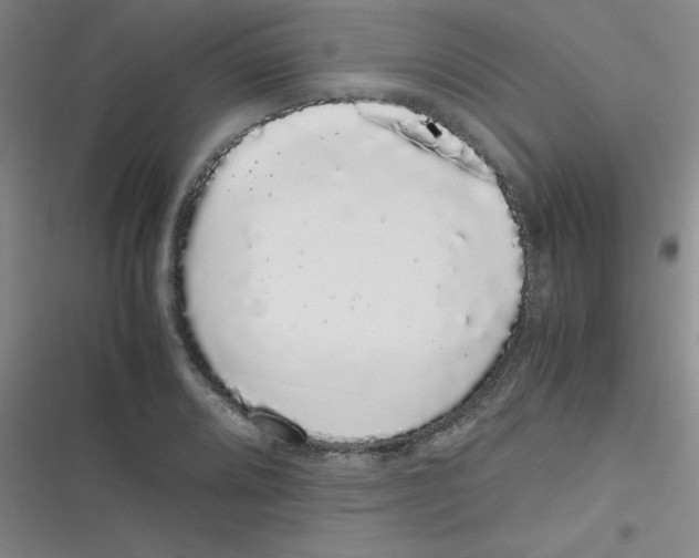 X0000116841080201001081454