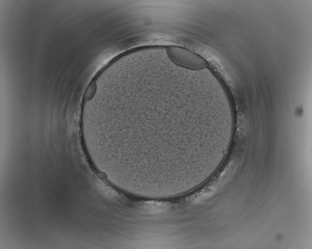 X0000116841081201001081453