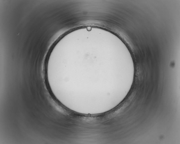 X0000116841082201001081453