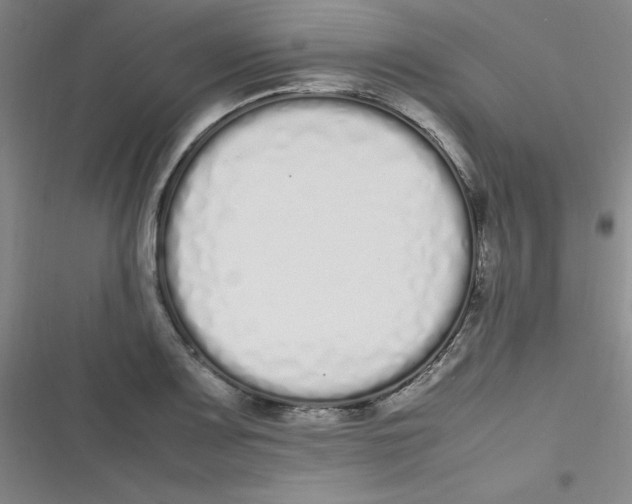 X0000116841083201001081453