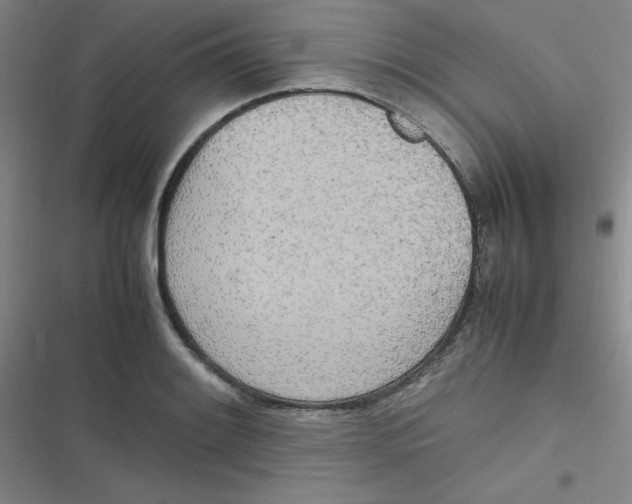 X0000116841084201001081453