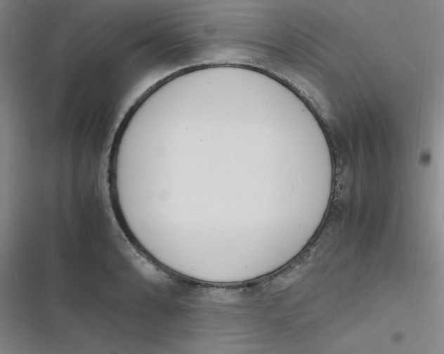 X0000116841086201001081453