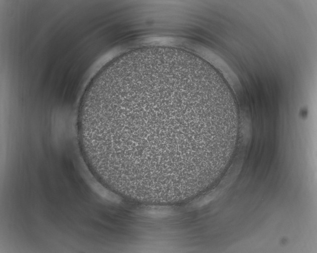 X0000116841090201001081453