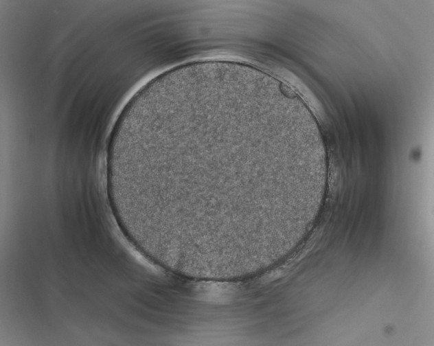 X0000116841092201001081453