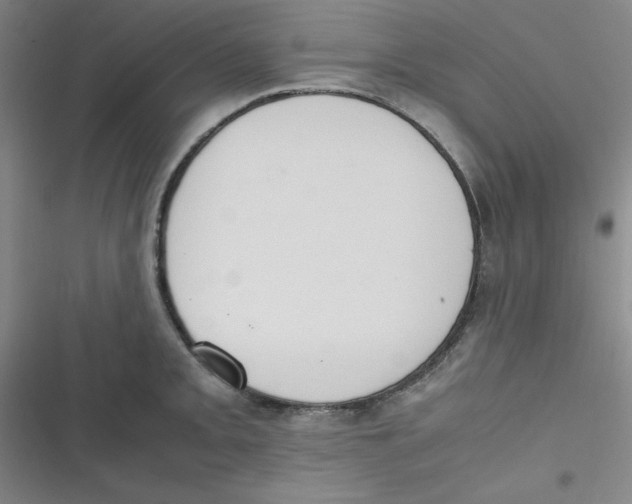 X0000116841093201001081453