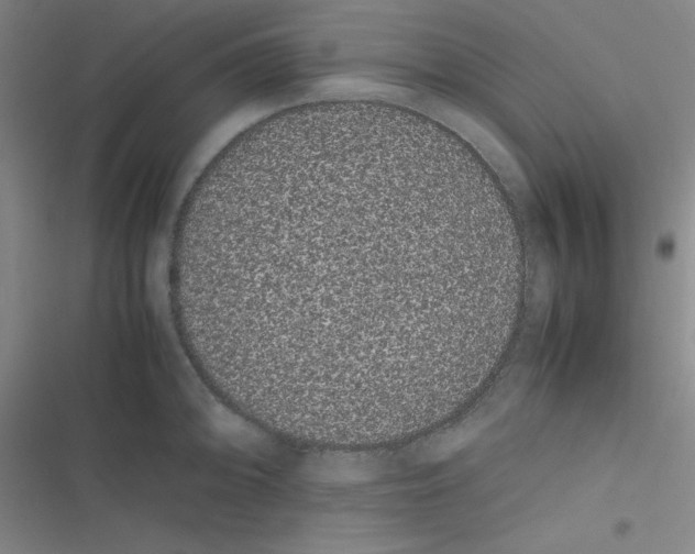 X0000116841094201001081453