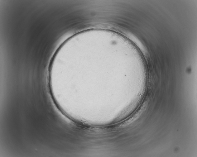 X0000116841095201001081453