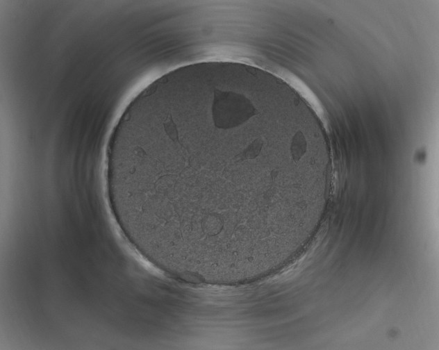 X0000116841096201001081453