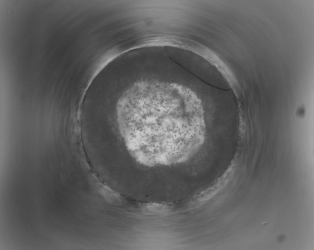 X0000116841097201001081453