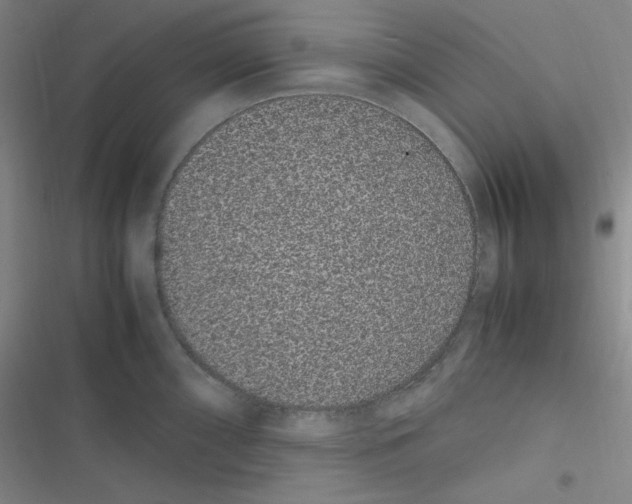 X0000116841098201001081453