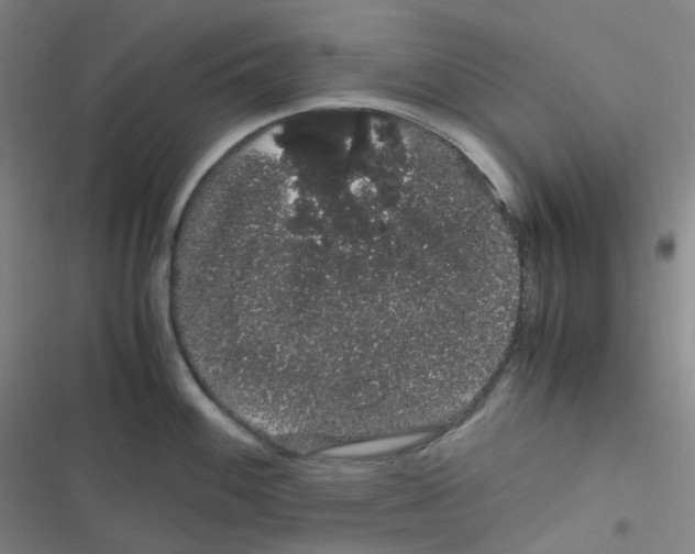 X0000116841100201001081453