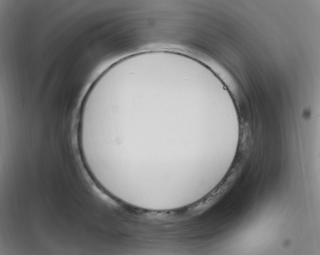 X0000116841102201001081453