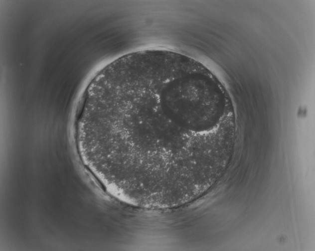 X0000116841104201001081453