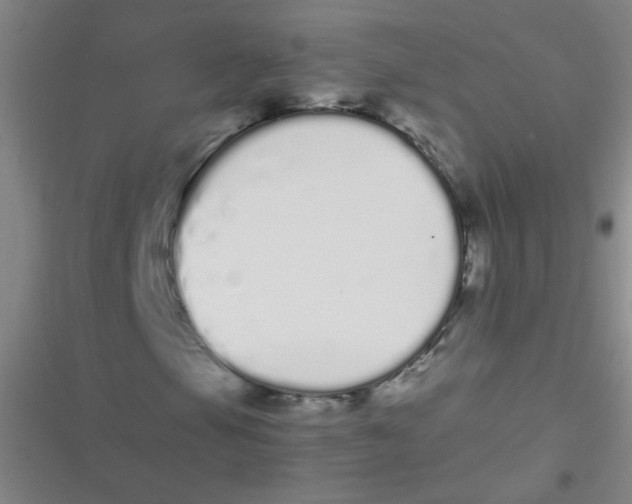 X0000116841105201001081453