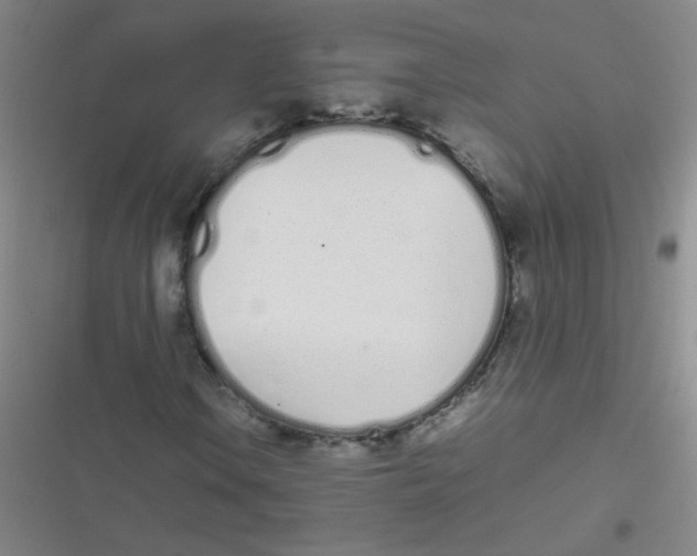 X0000116841106201001081453