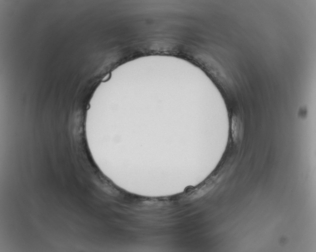 X0000116841107201001081453