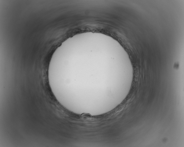 X0000116841109201001081453