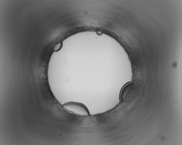 X0000116841110201001081453