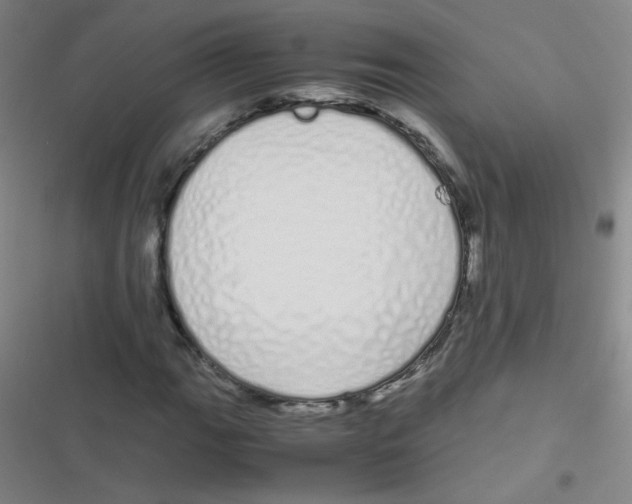 X0000116841111201001081453