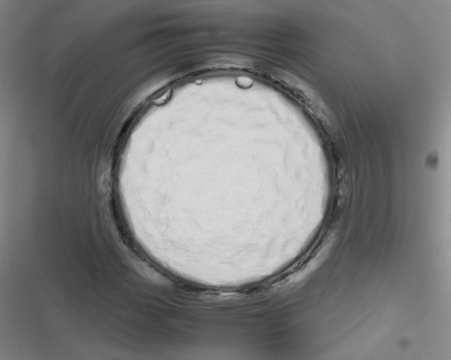 X0000116841113201001081453