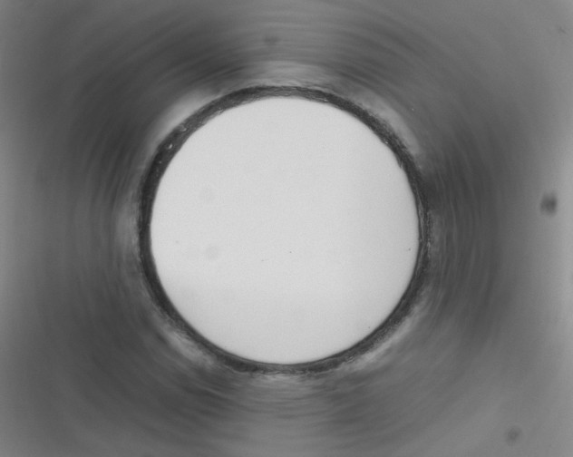 X0000116841114201001081453