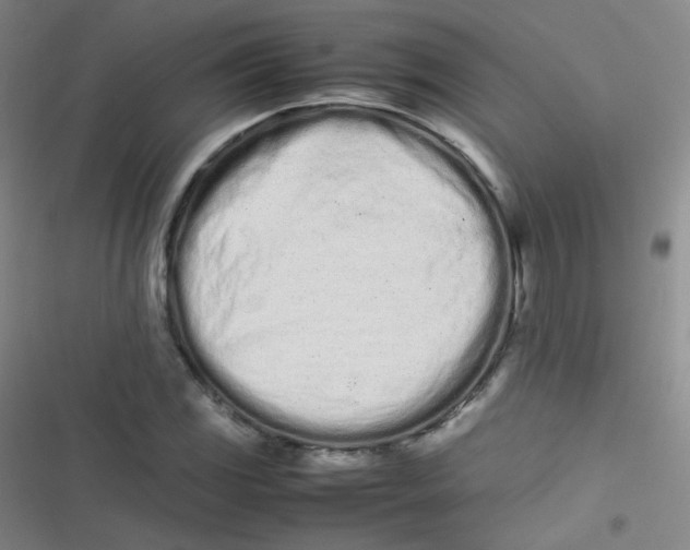 X0000116841117201001081453