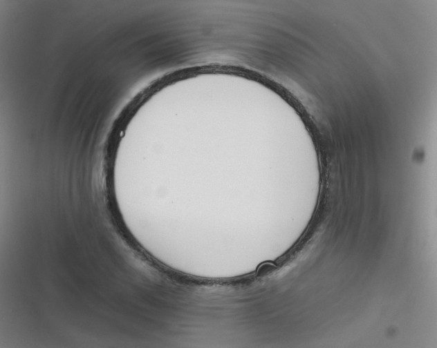 X0000116841118201001081453