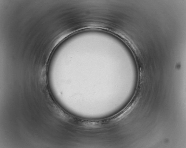 X0000116841121201001081453