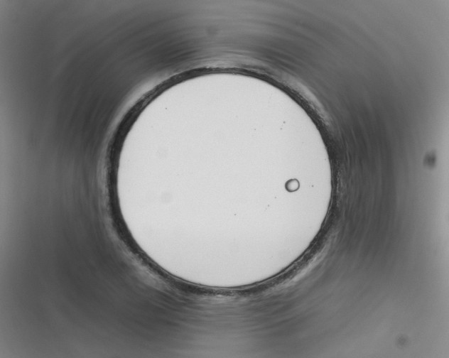 X0000116841122201001081453