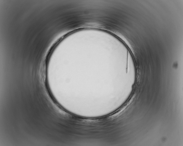 X0000116841123201001081453