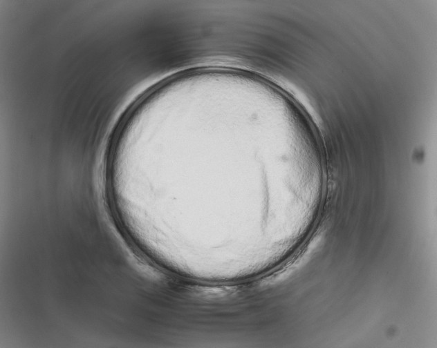 X0000116841125201001081453