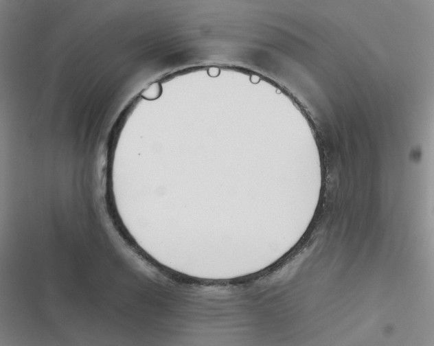 X0000116841126201001081453