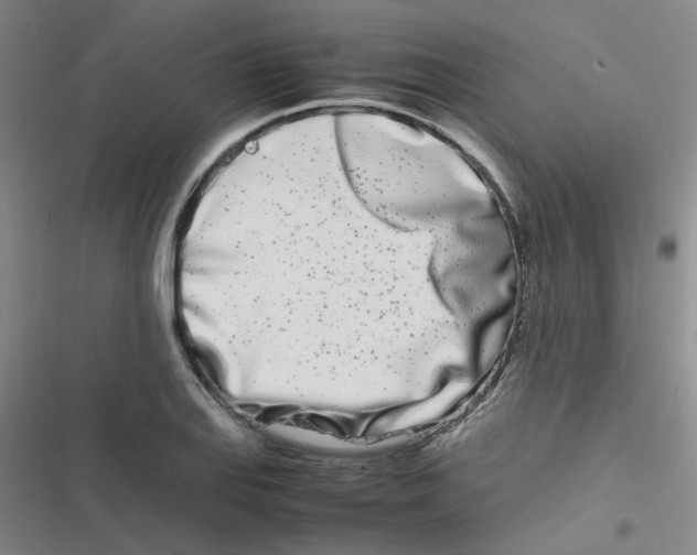 X0000116841127201001081453