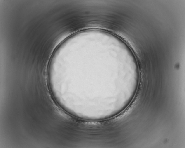 X0000116841129201001081453