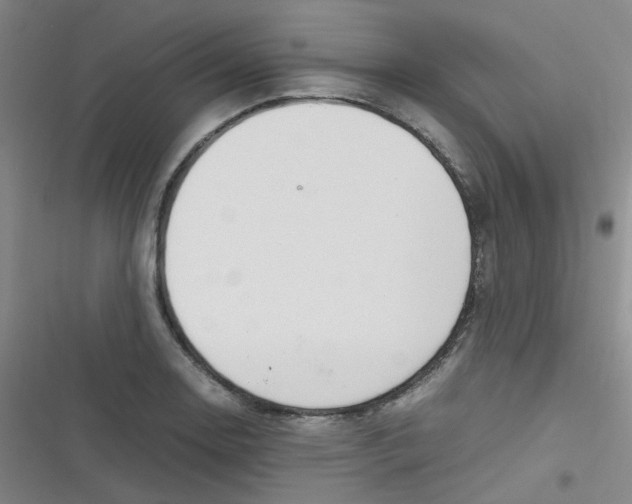 X0000116841130201001081453