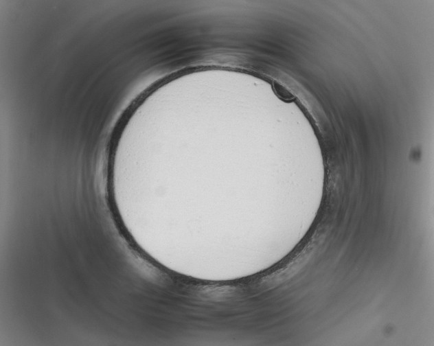 X0000116841131201001081453