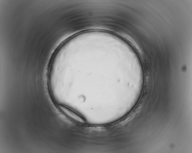 X0000116841133201001081453