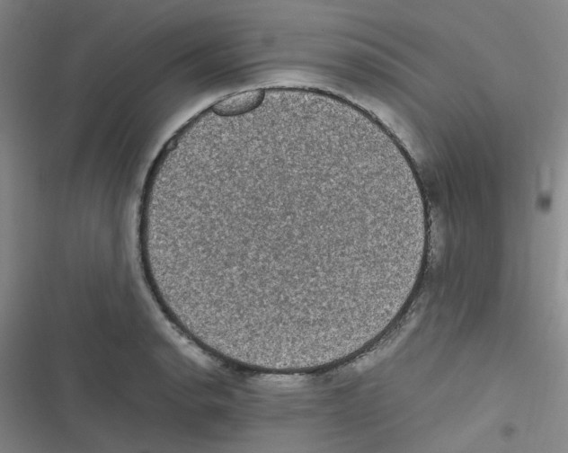 X0000116841134201001081453